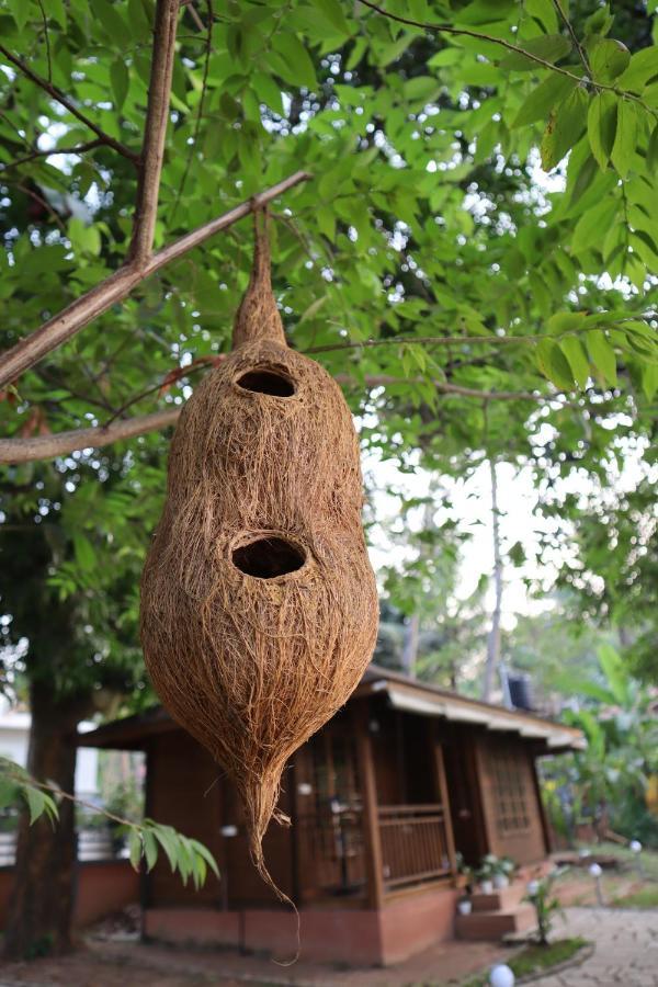 Greenchromide Homestays Mundrothuruth Dış mekan fotoğraf